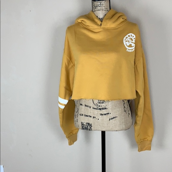 Free People Cropped Hoodie (Size Small)🧡 - Picture 6 of 8